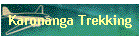 Karonanga Trekking