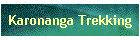 Karonanga Trekking
