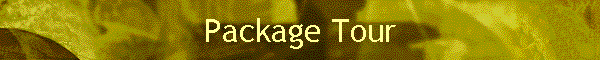 Package Tour