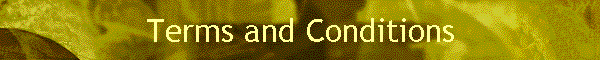Terms and Conditions