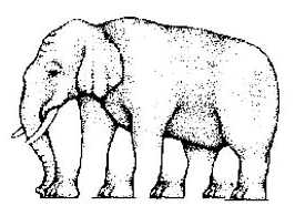 Optical illusion 
