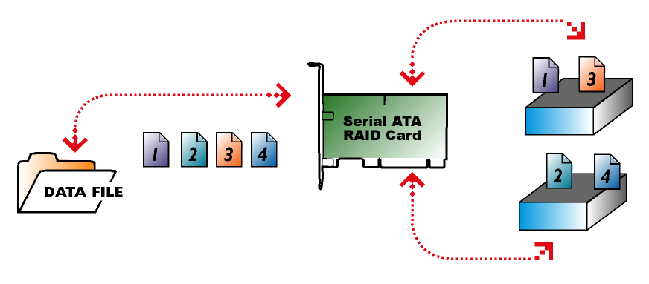 Raid Card 