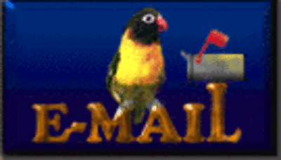 email button