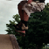 Launch to 50-50
