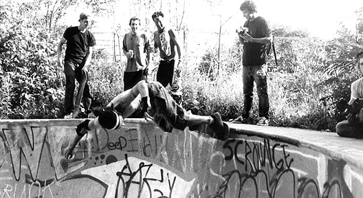 50-50 Grind Pool Coping FDR bowl