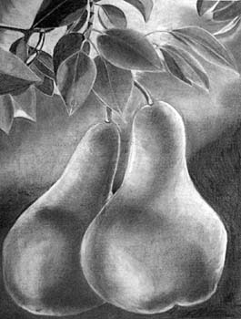 pears