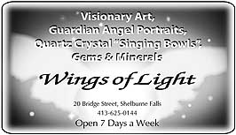 Wings of Light