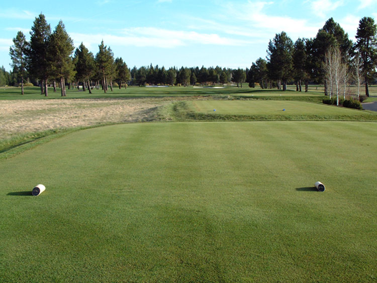 Sunriver Meadows golf course first Tee Box