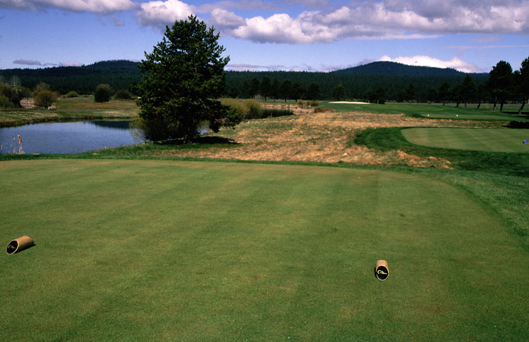 Sunriver Meadows golf course second hole tee box