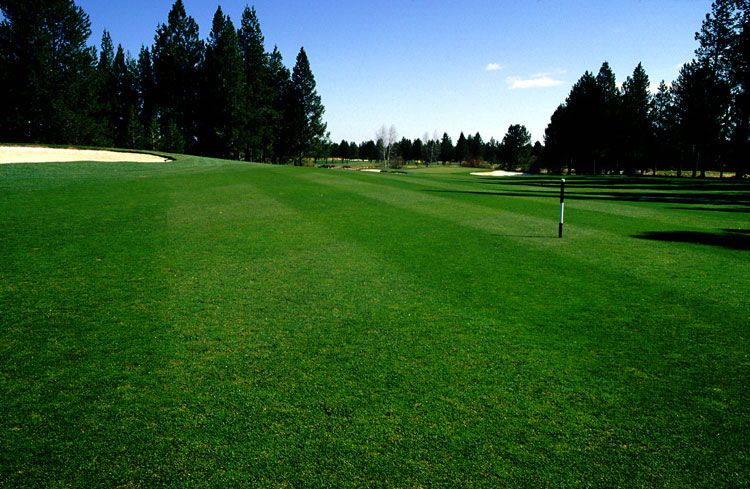 Sunriver Meadows golf course fifth fairway