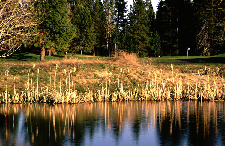 Sunriver Meadows golf course eighth Green