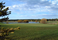 Sunriver Meadows golf course seventeenth Green