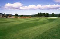 Sunriver Meadows golf course second hole Fairway