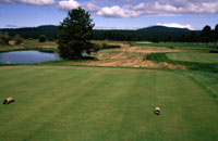 Sunriver Meadows golf course second hole Tee box