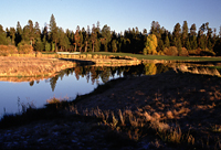 Sunriver Meadows golf course fourth hole Tee box