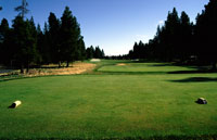 Sunriver Meadows golf course fifth Tee box