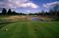 Sunriver Meadows golf course ninth Tee box