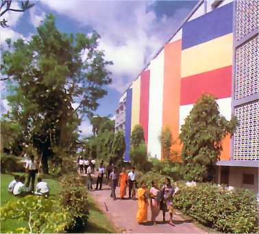 sjp university