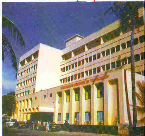 IIT