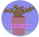 exhibitions