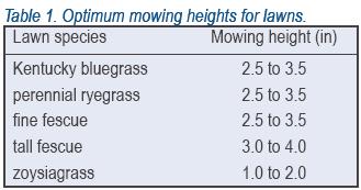 Grass hight