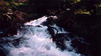 [Photo] 