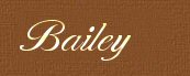 Bailey Surnames