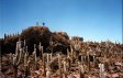 Thomas exhorte la foule de cactus en delire