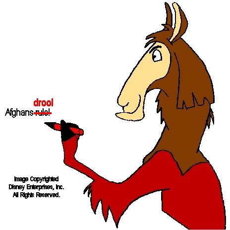 "Who is this Llama?"
