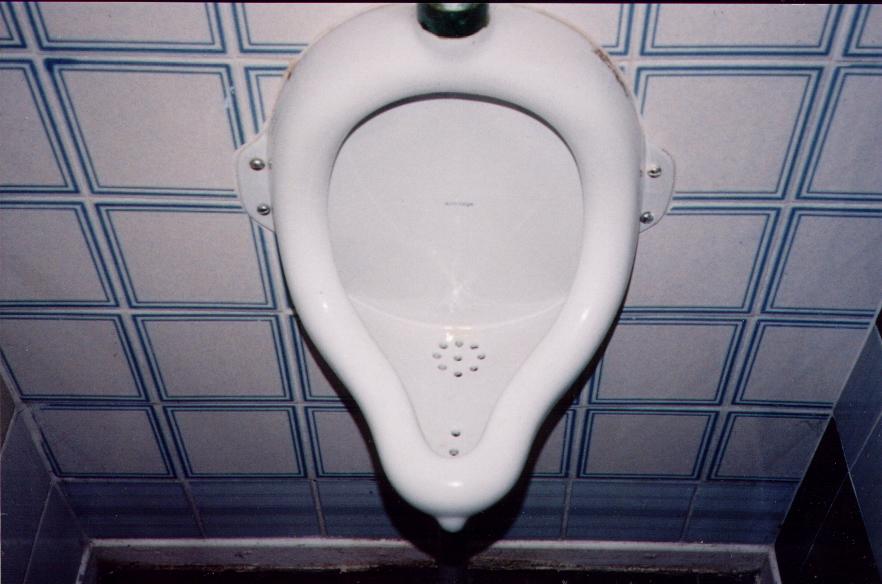 Toilet humor