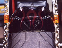 Rear tire and rear turn indicators.