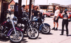 Cyndy in Chloride, AZ. Click to enlarge.
