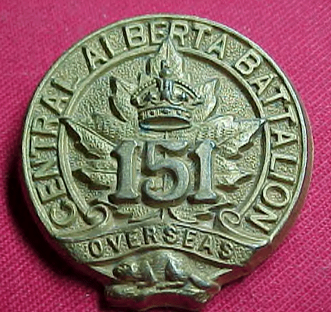151st bn badge