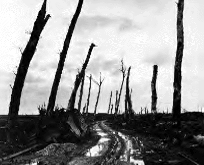 poelcapelle street in 1917