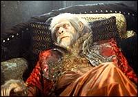 CHUCK AS ZAIUS(THADE'S FATHER) IN PLANET OF THE APES-2001(REMAKE)