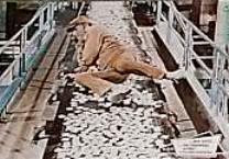 CHUCK LAYING ON 'SOYLENT GREEN'--EWWWW!
