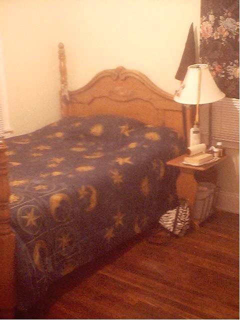 Mmmmm... my 4-poster bed... so comfy... Pay no attention to the neckties attached to the headboard ;>