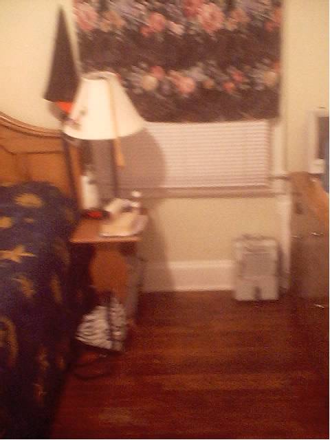 Nightstand, punk rock zebra backpack purse held together with safety pins, heater,&nbsp; nuther dresser on the right, spare monitor [window unit a/c hidden behind blinds].
