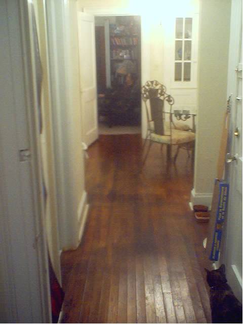 This is the hall looking from my bedroom doorway to the living room. Bathroom on the left, kitty den on the right.