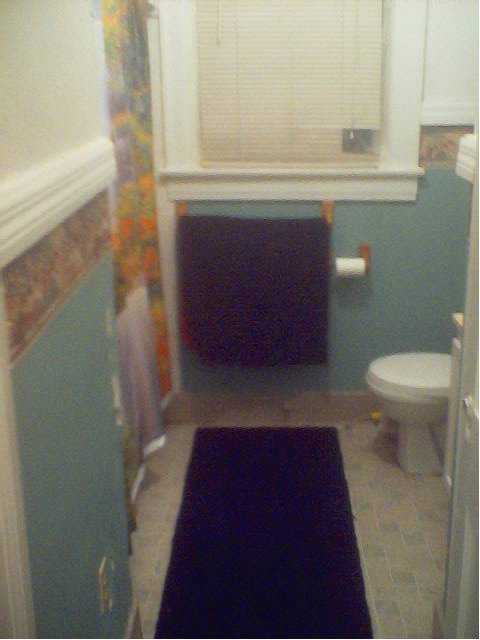 My bathroom, complete with rainbow and waterfall shower curtain. [The walls were painted that way when I moved in.]