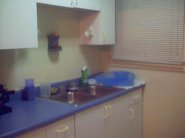 Sink with my kewl oval-shaped dishdrain.