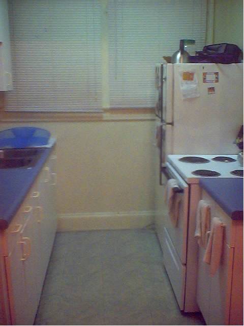 This is my little two-butt kitchen. All nice and clean. :)
