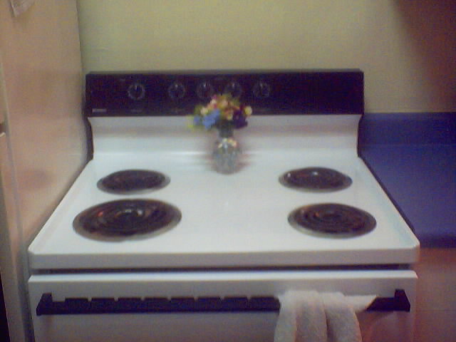My sparkling stove, with a little flower arrangement that was my only housewarming present.