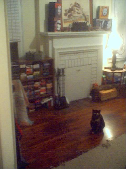 Longer shot of the living room... that's Buki off to the side.