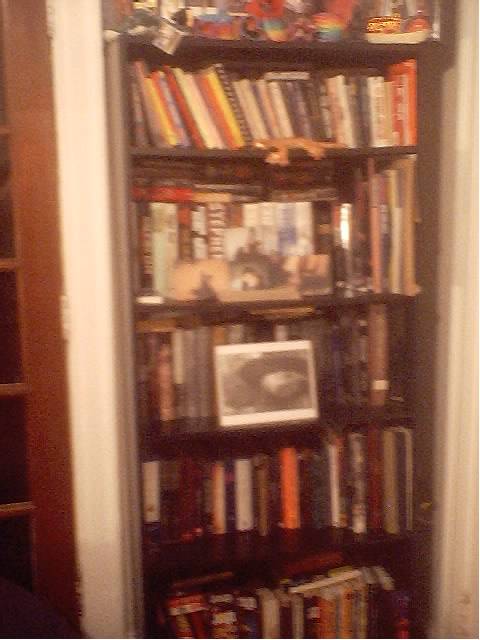 My book shelf- assorted collectibles on top, 2nd shelf Stephen King, 3rd shelf Anne Rice