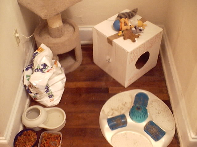 The kitty den!! This is where they hang out and get high on catnip. :)