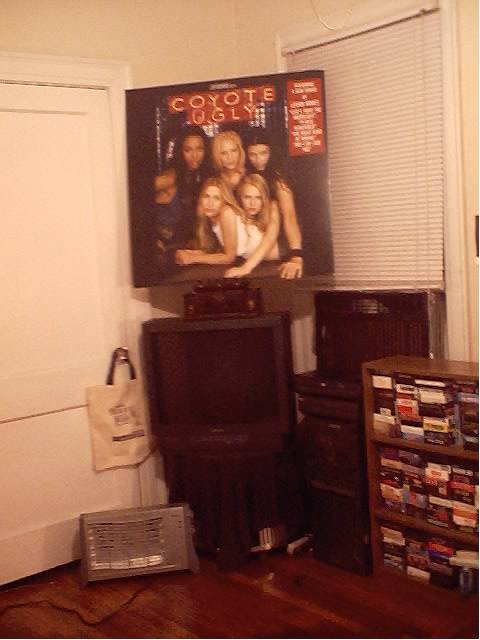 My, uh, entertainment center ;> ... everyone needs a little Coyote Ugly in their life.