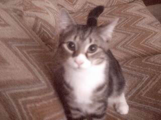 my schweetie pie!!!