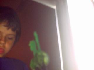 inadvertant self-portrait... such concentration... [that tongue thing runs in the family]