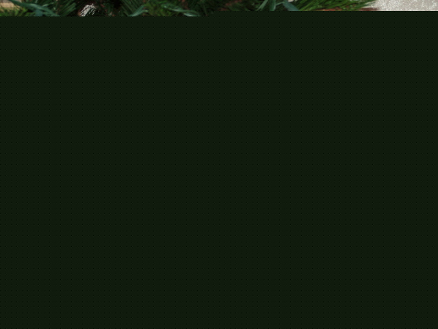 12/11/05